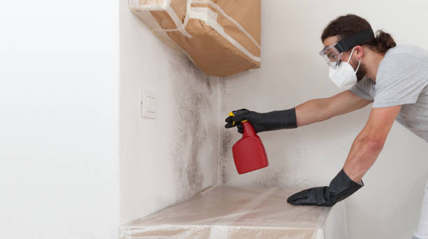 Professional Bathroom Mold Removal technician working in Richmond, MI