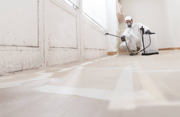 24/7 Emergency Bathroom Mold Removal experts in Richmond, MI