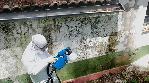 Top rated local Bathroom Mold Removal specialists in Richmond, MI